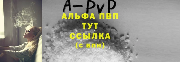 молекула духа Медвежьегорск