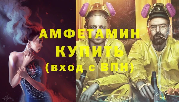 молекула духа Медвежьегорск
