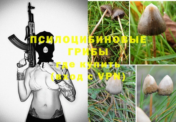 прущая мука Михайловск