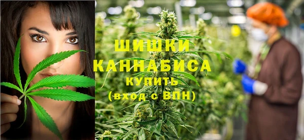 ешки Медногорск