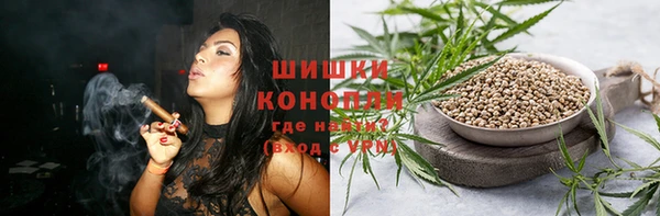 ешки Медногорск